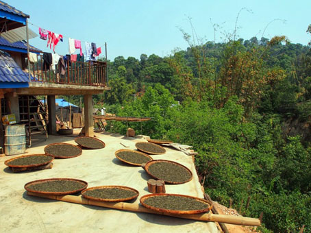 Сушка чая в деревне Лао Бань Чжан