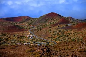 чайные кусты Mauna Kea.jpg чайные кусты Mauna Kea.jpg