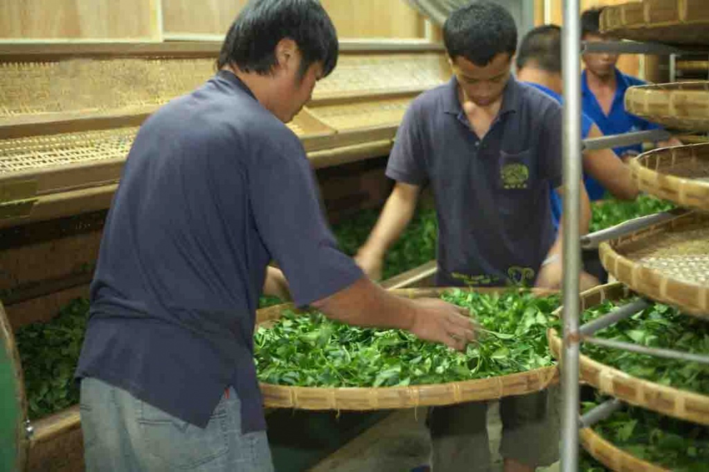 Улун Алишань