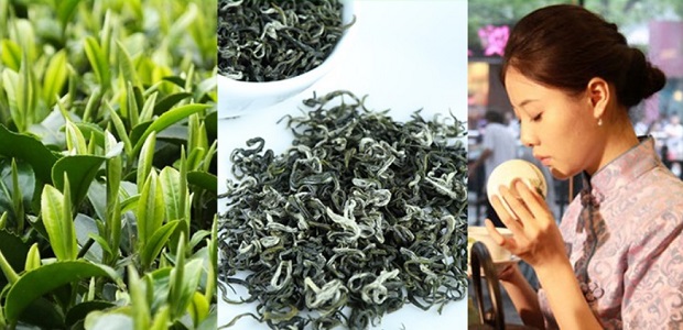 зеленый чай Инь Ло