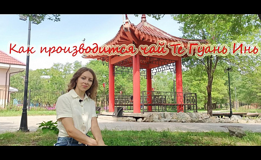 Как производится чай Те Гуань Инь Как производится чай Те Гуань Инь